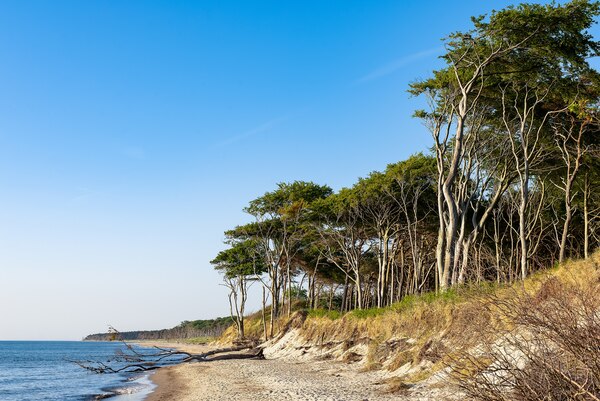 Zingst